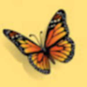 Meet your Posher, Lydia